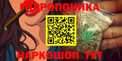 амф Дмитров