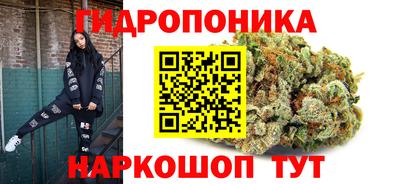 амф Дмитров
